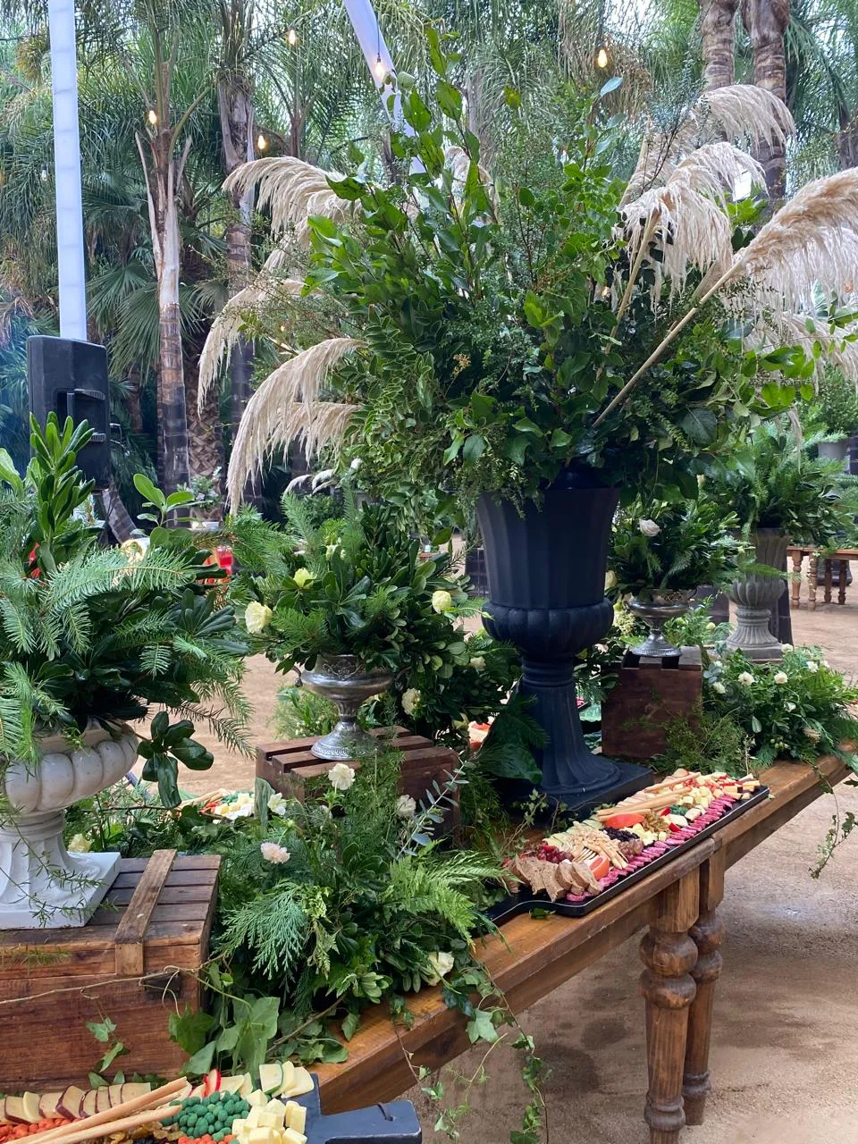 Evento empresarial tropical Santiago - foto 3