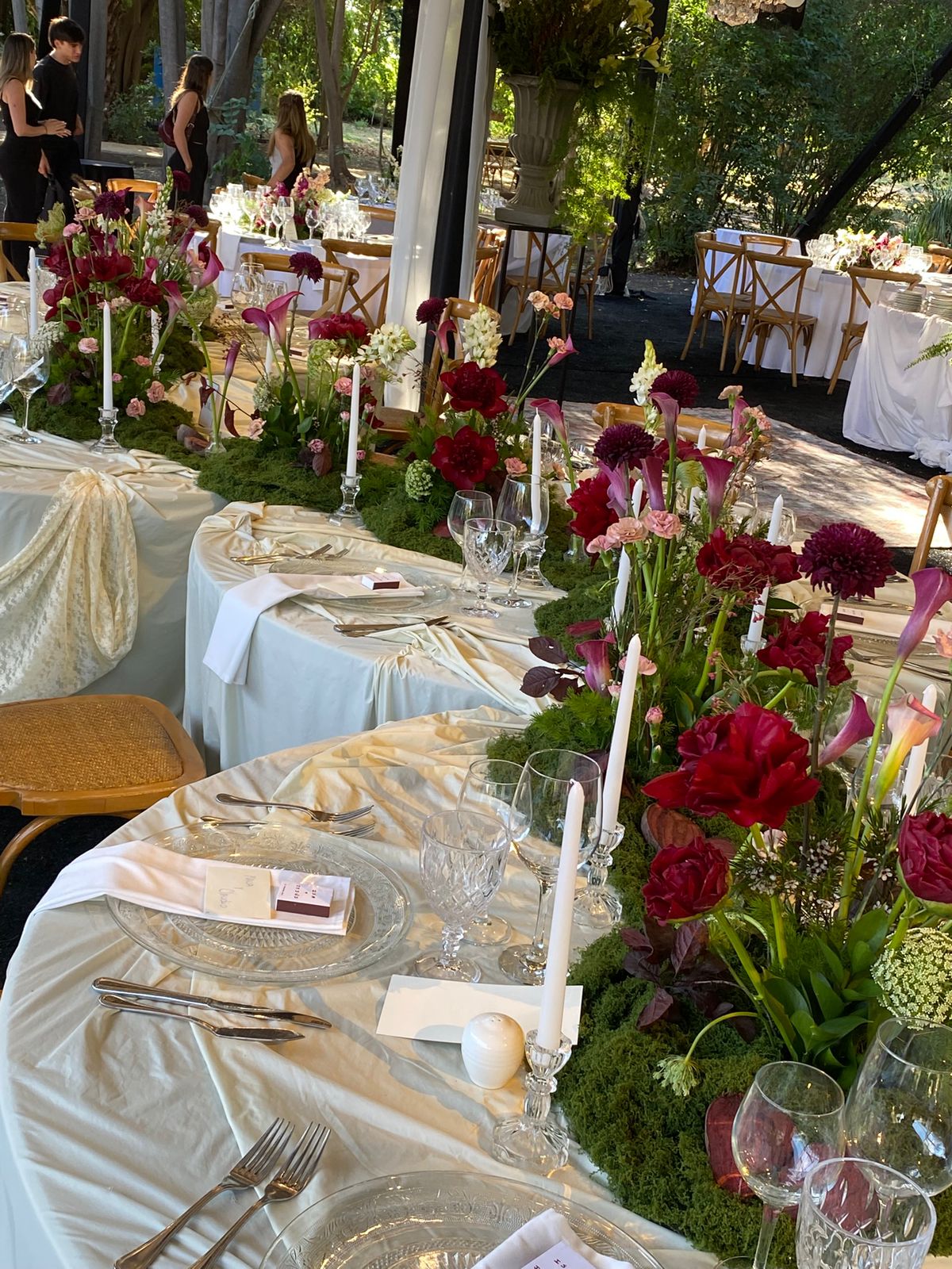Atardecer en el Edén: Opulencia Botánica - Decoración de matrimonios en Santiago - SJB Decoarte